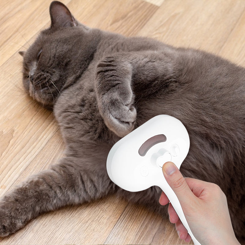 Pet Electric Grooming Comb, Steam Hair Removal